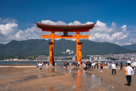 Visitors cross tidal flats to the Great Torii at Itsukushima Shrineの写真素材