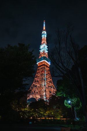 Tokyo Tower glowing above Shiba Park at night in Minato, Tokyo