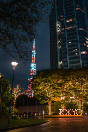 Tokyo Tower at night behind high rise with festive lit treesの写真素材