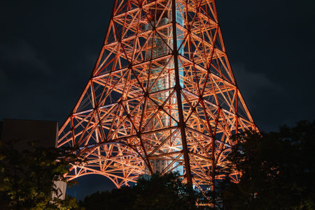 Night close up of Tokyo Tower base and trees in Minato, Tokyoの写真素材