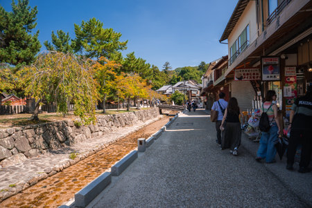 Miyajima walkway by stone stream with shops, trees, and shrine viewsの写真素材