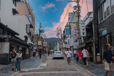 Pedestrian street in Nara Japan with shops, power lines, and hills at duskの写真素材
