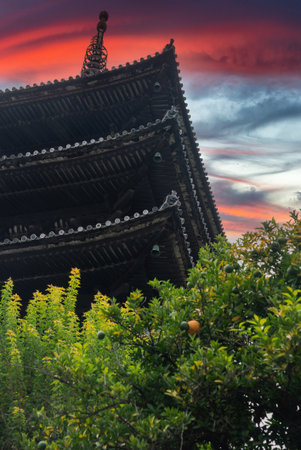 Kyoto pagoda rises at dusk behind foliage and fruiting treesの写真素材