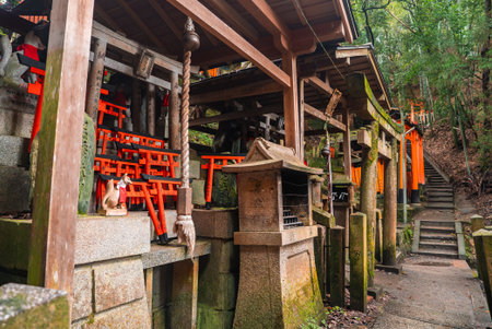Kyoto hillside Shinto shrine with torii gates and moss lanternsの写真素材