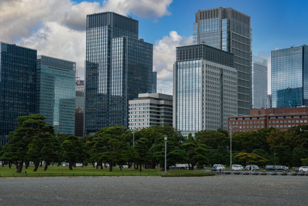Tokyo Marunouchi towers behind Imperial Palace outer gardensの写真素材