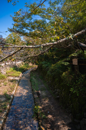 Stone lined stream along wooded trail in Itsukushima, Hiroshimaの写真素材