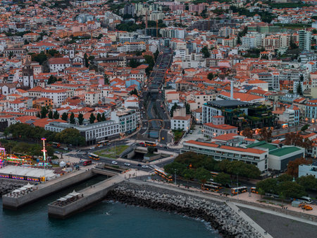 Aerial view of Funchal hillside homes and harbor in evening lightの写真素材