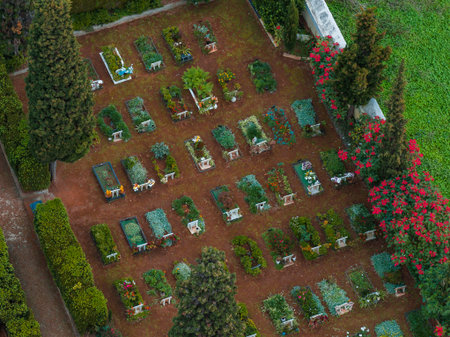 Aerial hillside cemetery in Madeira with cypress rows and flowers