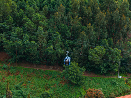 Blue cable car over hillside forest near Funchal, Madeira