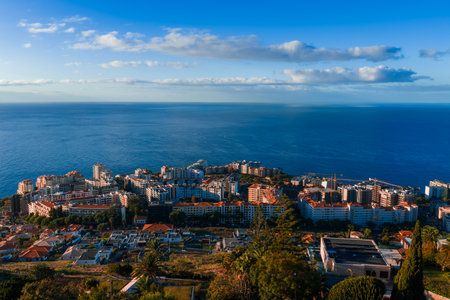 Funchal coastal terrace of white buildings and gardens at the Atlanticの写真素材