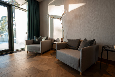 Sunlit luxury living room with grey armchairs and patterned hardwoodの写真素材