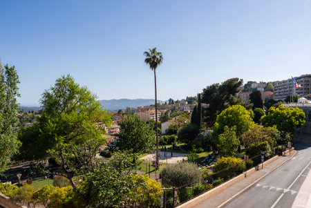 Grasse hillside townscape with palm tree, cypress, and stone architecture
