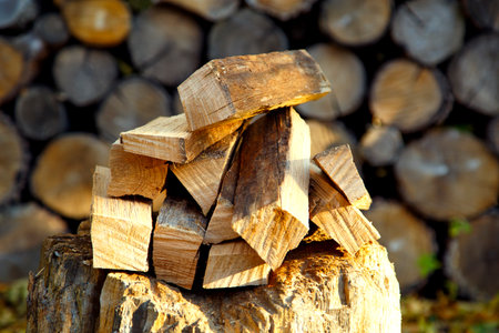 A bunch of chopped firewood against the background of a woodcutter. Chopped firewood on hemp for a fireplace and stove. The concept of heating, warmth, survival.の写真素材