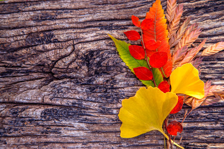 Composition of colorful autumn leaves on a wooden table. Floral composition of autumn leaves. The...