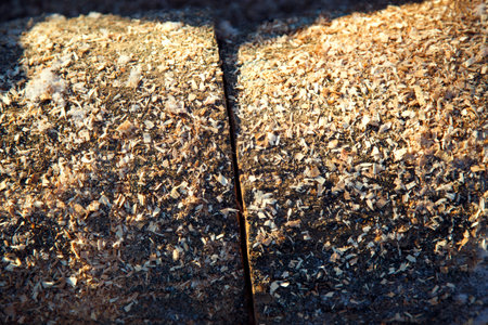 A tree trunk sawn into round stumps in winter. Winter harvesting of timber and firewood. Tree trunks cut into pieces lying on the snow.の写真素材