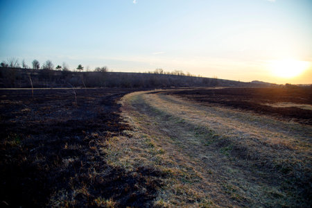 beautiful sunset over the field in early spring. Early spring landscape
