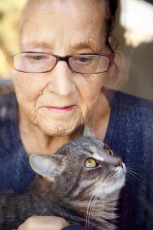 Portrait of an elderly woman with a cat at the window wearing glasses.の写真素材