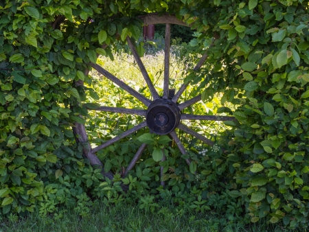 Old wooden spoked wheel as decoration in a hedgeの写真素材