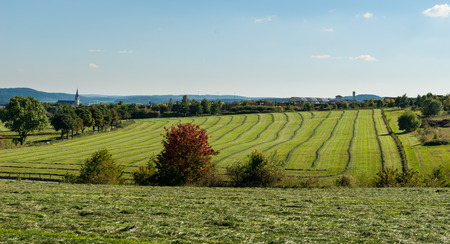 Meadows with mowed grass near Medebach in Hochsauerland, Germanyの写真素材