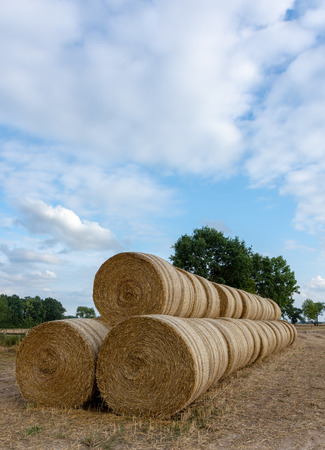 Stack of round bales of straw on a stubble field in the Wesermarschの写真素材