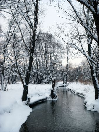 Stream in Winter Park in early winterの写真素材