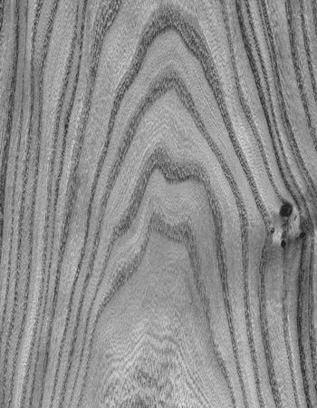 Wooden texture. Lining boards wall. Wooden background. pattern. Showing growth ringsの写真素材