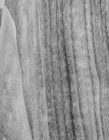 Old Wood texture. Floor surface. Wood background. Wooden texture.の写真素材