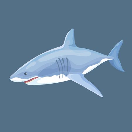 Vector Illustration Of Real Shark Swims Isolatedのイラスト素材