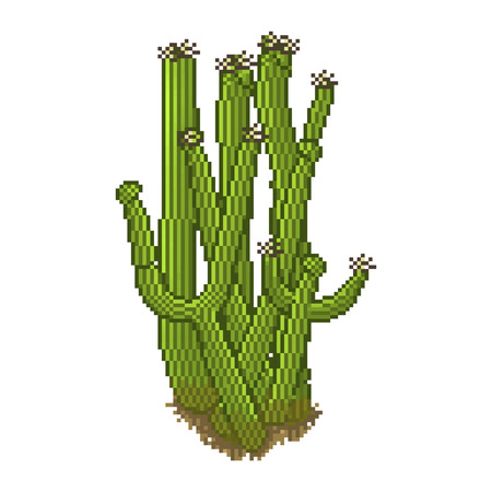 Vector cactus in pixel art style. Desert item for game backgroundのイラスト素材