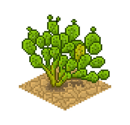 Opuntia ficus indica. Vector isolated illustration in pixel art. Flora of the desertのイラスト素材