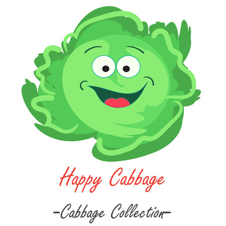 Organic white savoy fresh cabbage vector illustration. Vegan vegetable raw food.のイラスト素材