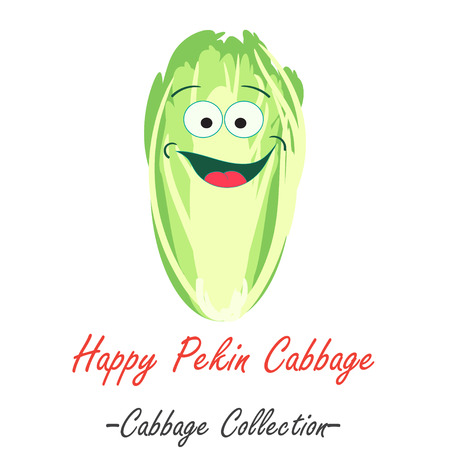 Organic pekin fresh cabbage vector illustration. Vegan vegetable raw food.のイラスト素材