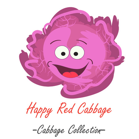 Organic purple fresh cabbage vector illustration. Vegan vegetable raw food.のイラスト素材