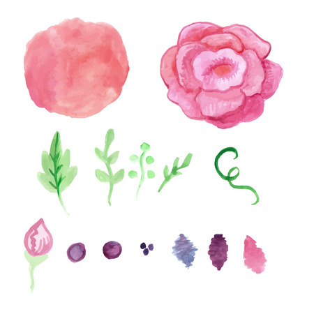 Watercolor rose and splash elements set. Vintage leaves, flowers and branches. Vector hand drawn design illustration for greetings invitation celebration cardsのイラスト素材