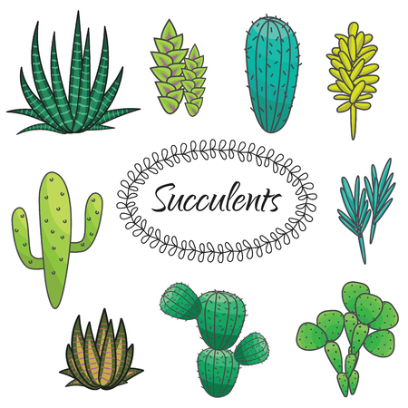 Succulents cacti plant vector set. Botanical green desert flora collection. Home garden cartoon cactuses.のイラスト素材