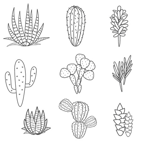 Succulents cacti plant vector set. Botanical black and white desert flora collection. Home garden cartoon cactuses.のイラスト素材