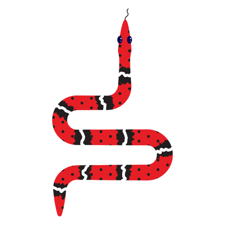 Micrurus red snake cartoon vector illustration on white.のイラスト素材