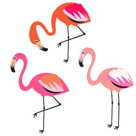 Flamingo flat style vector illustration. Pink coral exotic birds for stickers, stationery and fabric print.のイラスト素材