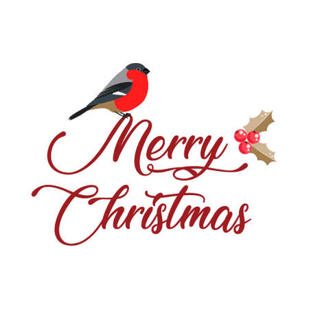 Merry Christmas lettering with bullfinch bird decoration on letters.のイラスト素材