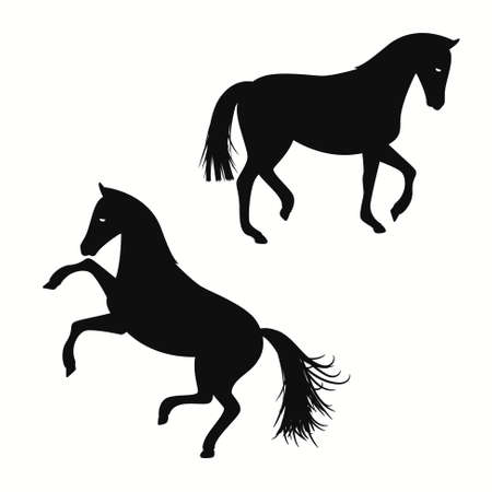 Horse running and standing black silhouettes template on white backgroundのイラスト素材