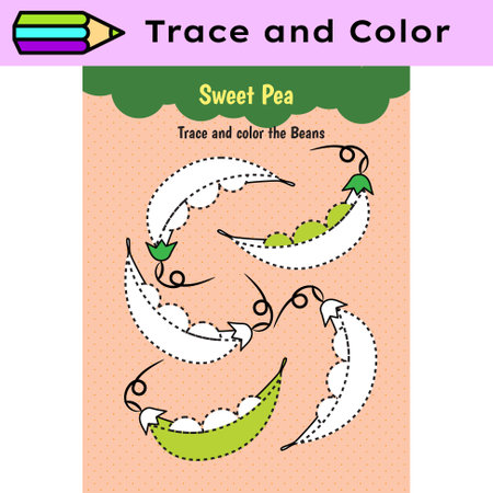 Pen tracing lines activity worksheet for children. Pencil control for kids practicing motoric skills. Sweet Pea educational printable worksheet. Vector illustration.のイラスト素材