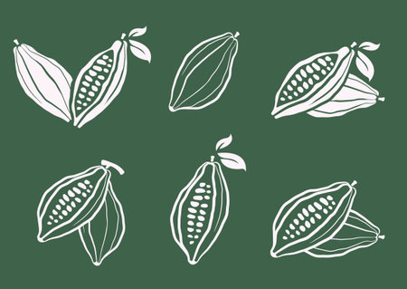 Cacao beans vector illustration set. Cocoa hand drawn doodle. Chocolate bean sketch. Cacao plant part, cacao leaves. Design for cafe chocolate dessert, shop menu, chocolate bar label, logo.のイラスト素材