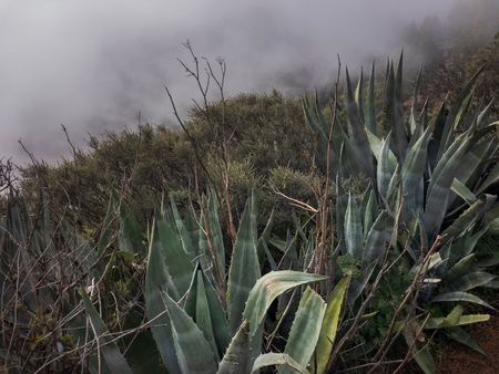 Fog in the center of the island. Gran Canariaの写真素材