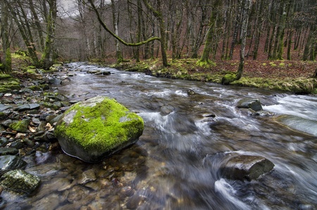 little river in north spainの写真素材