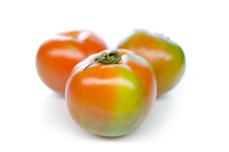 Tomatoes sliced isolated on white backgroundの写真素材