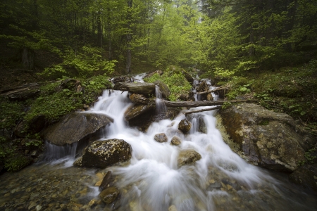 Little mountain river at Pyrenees, Aragon, Spainの写真素材