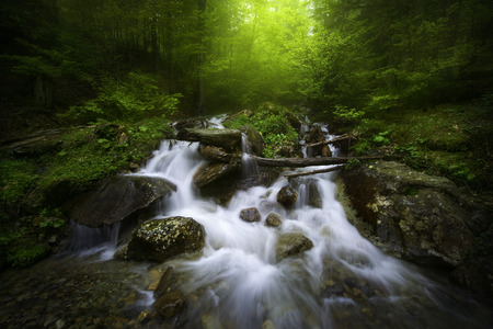 Mountain river in the forest in a misty dayの写真素材