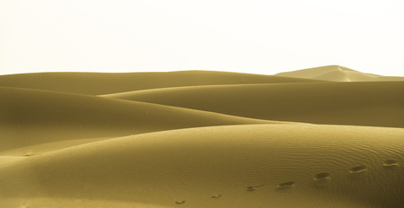 Yellow dunes in Chigaga desert, Morocco, North Africaの写真素材