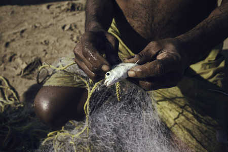 Fisherman taking a fish from the net, mumbai, Indiaの写真素材