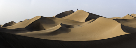 Panoramic view over Sahara`s dunes, Africa in a sunny dayの写真素材